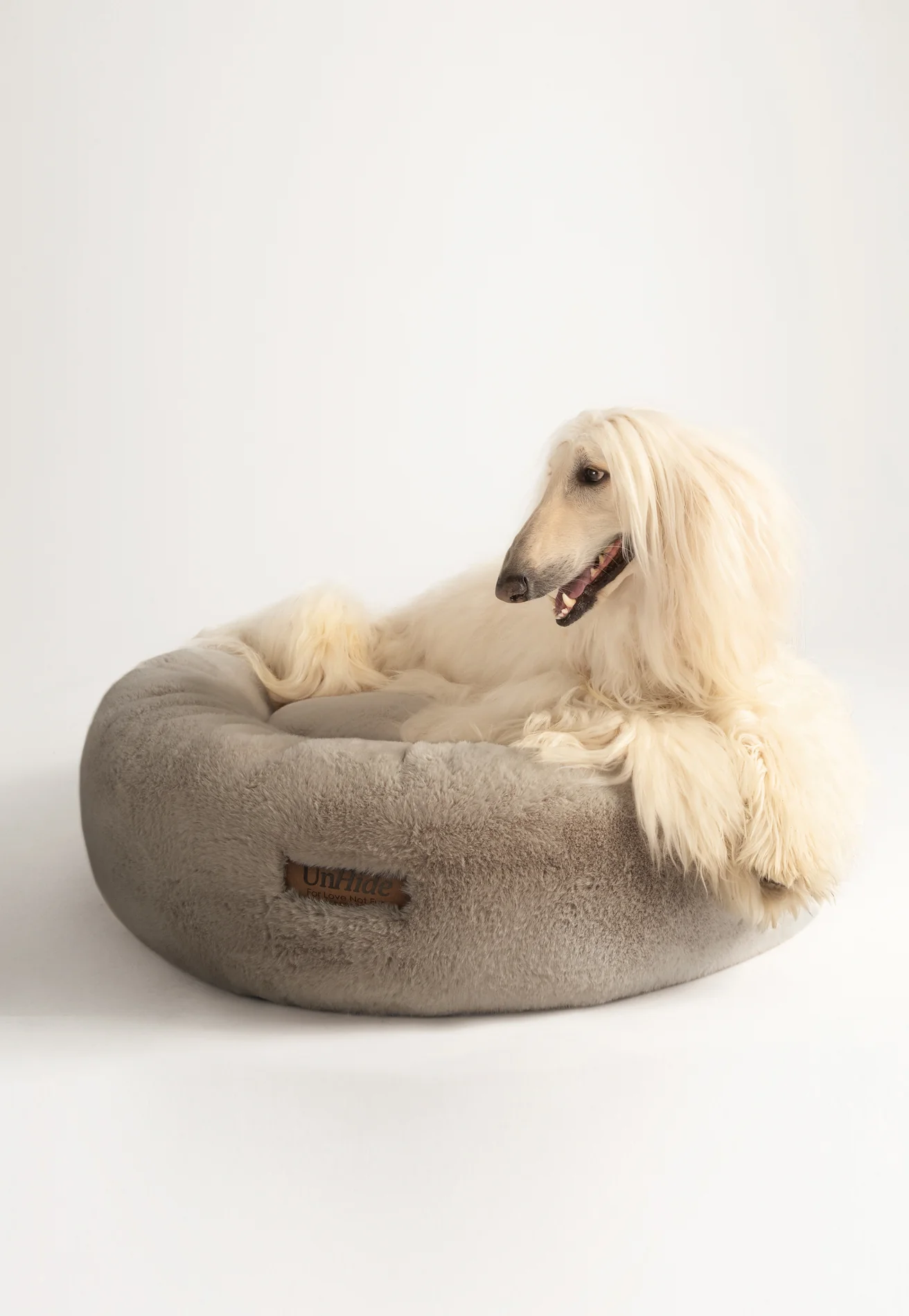 Thumbnail 26